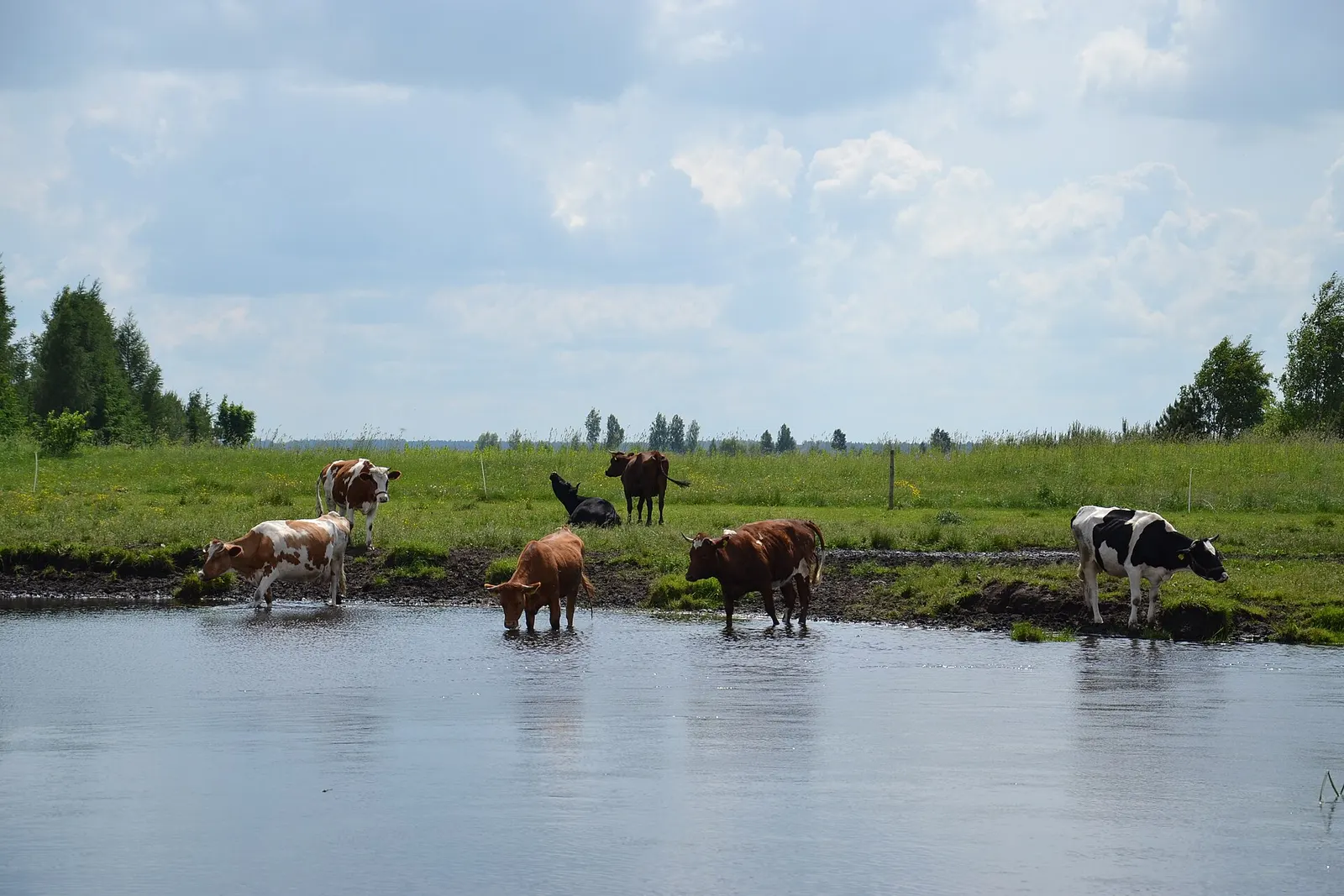 Biebrza National Park