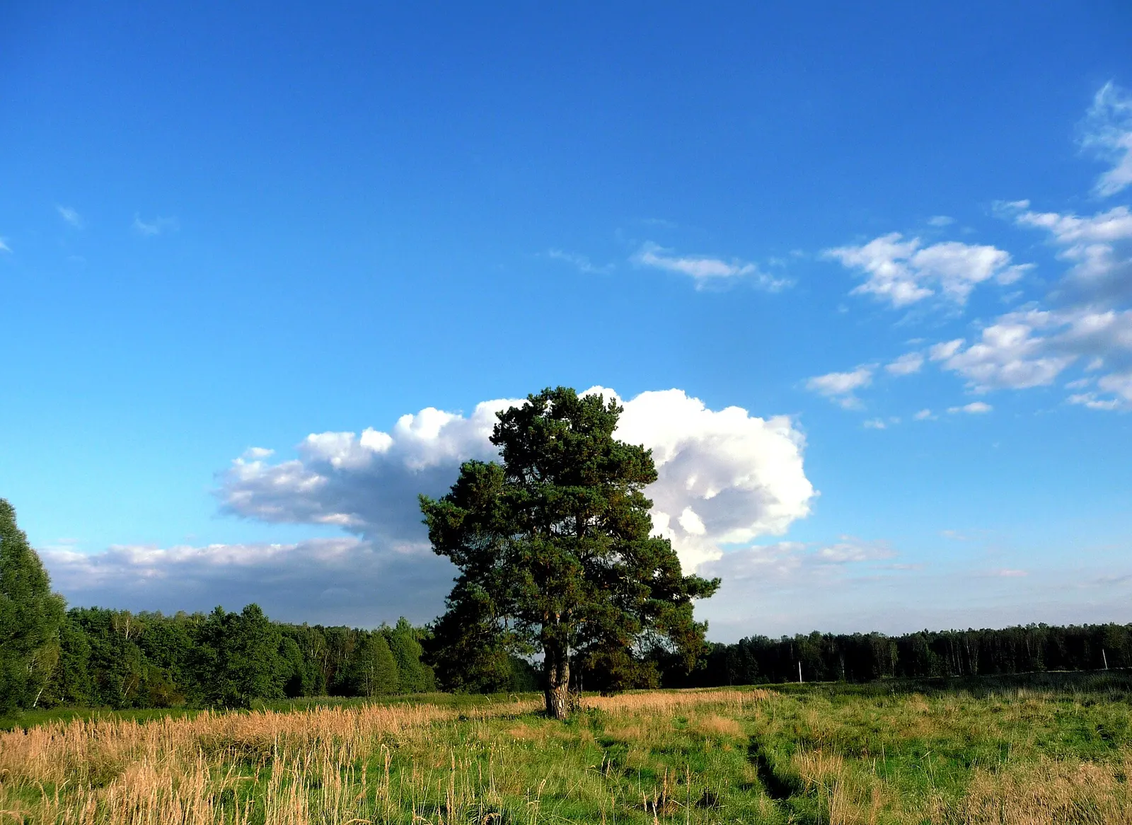 Cysterskie Kompozycje Krajobrazowe Rud Wielkich