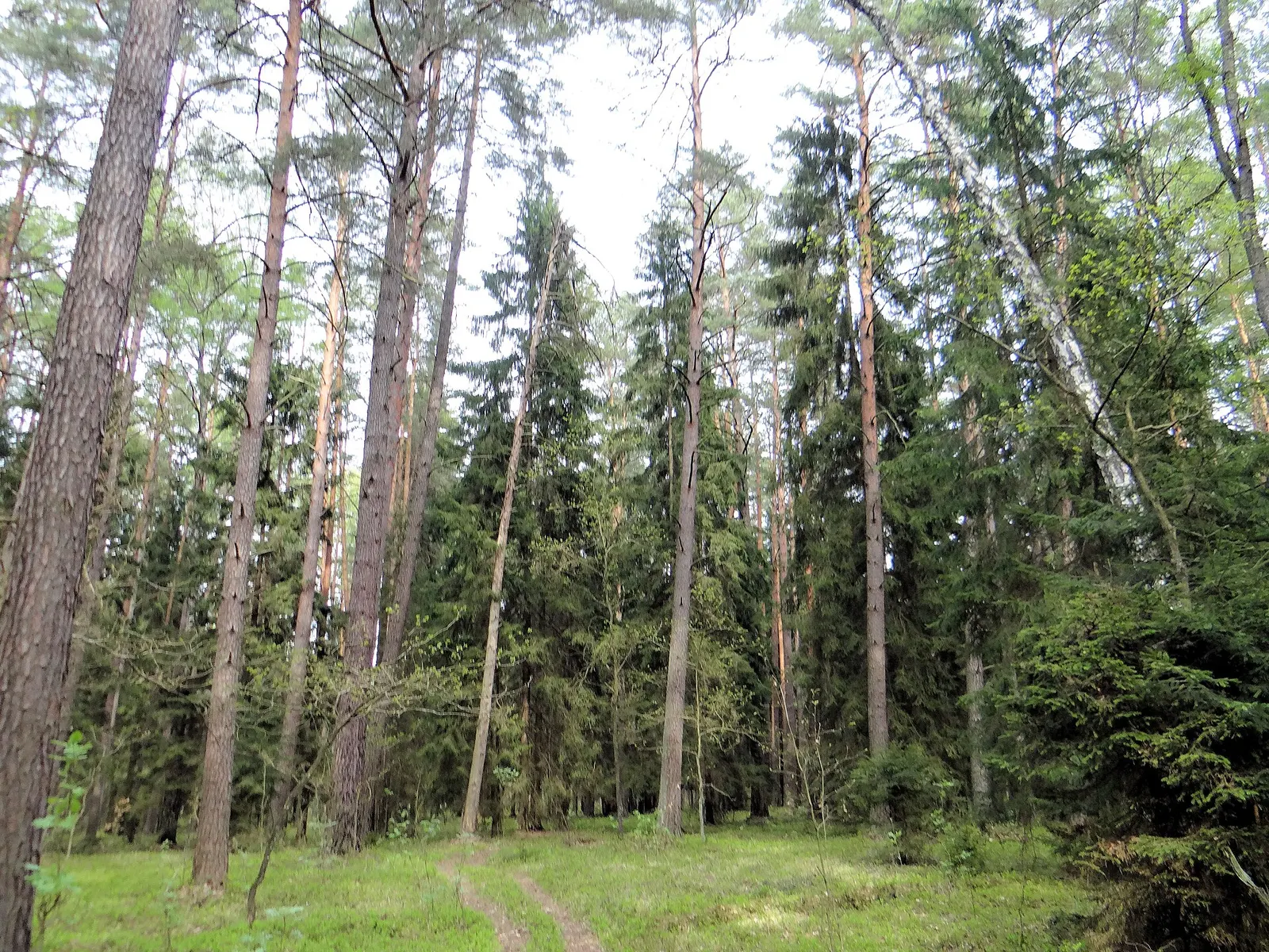 Red Marsh Nature Reserve