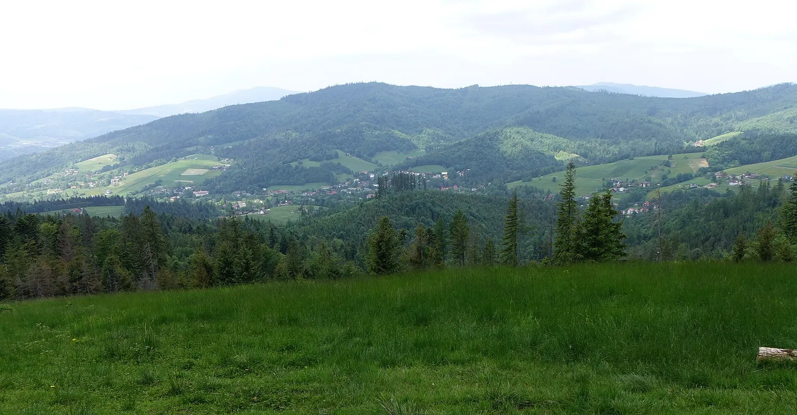 Czupel w Beskidzie Śląskim