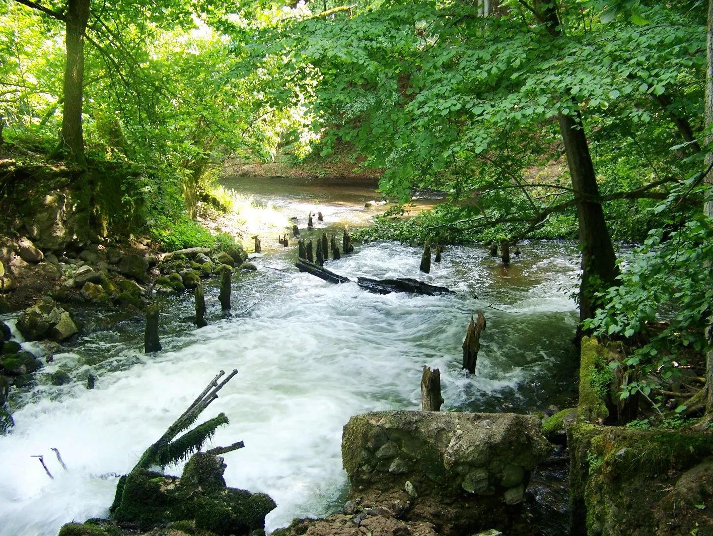 Drawieński Park Narodowy