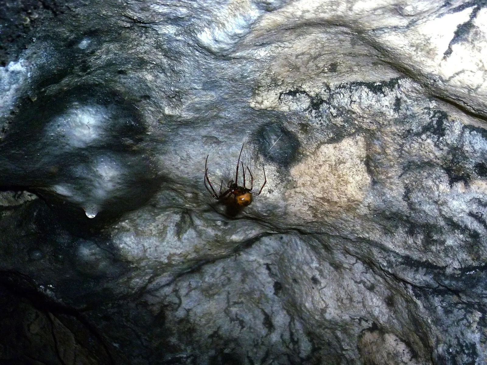 Ciemna Cave