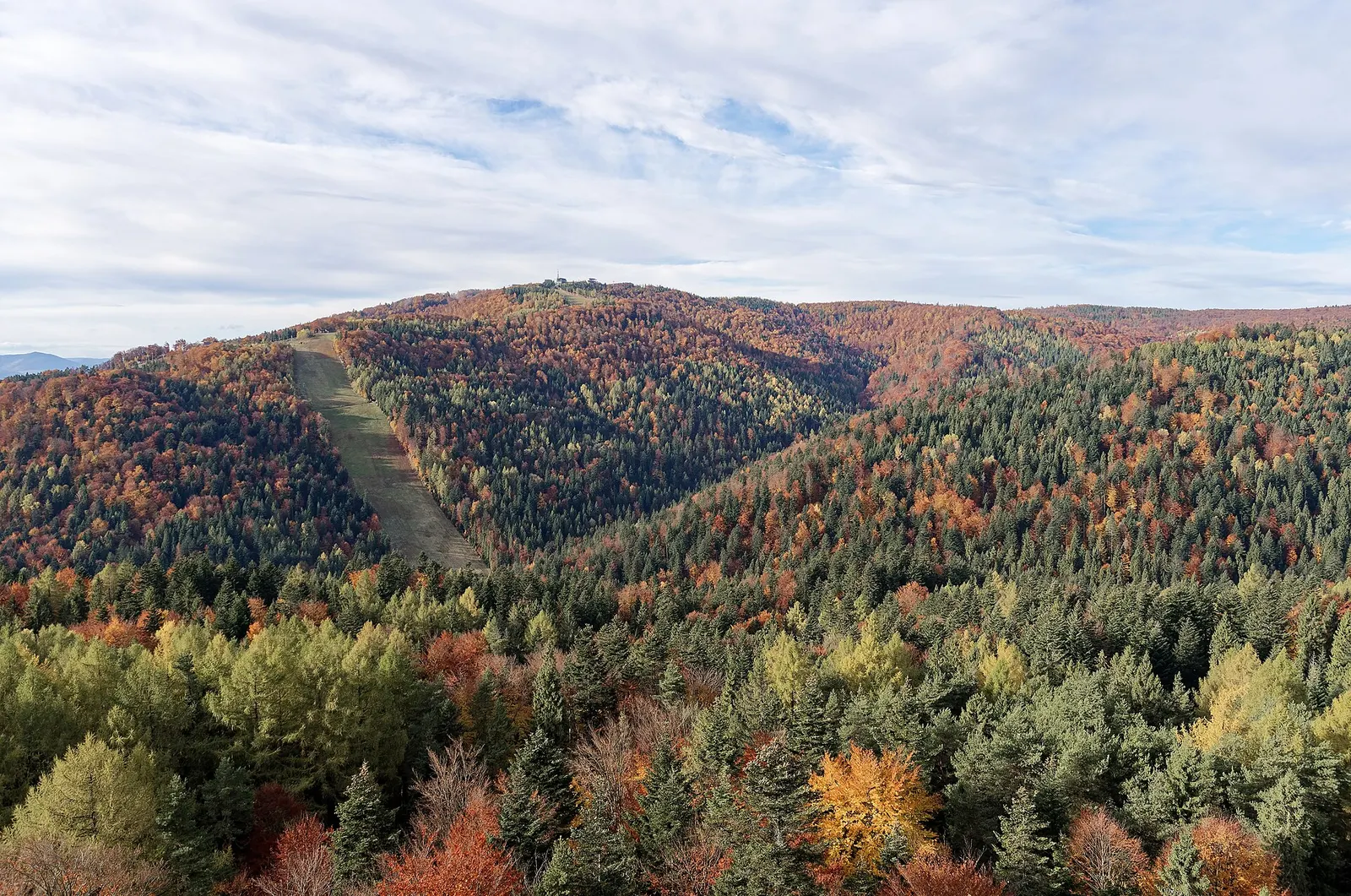 Jaworzyna Krynicka