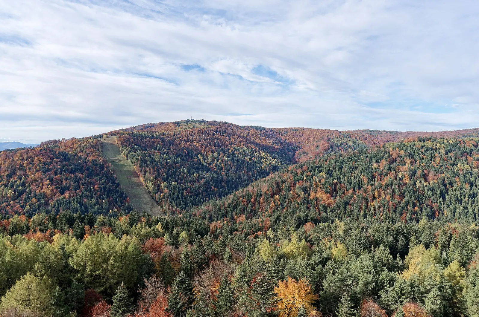 Jaworzyna Krynicka