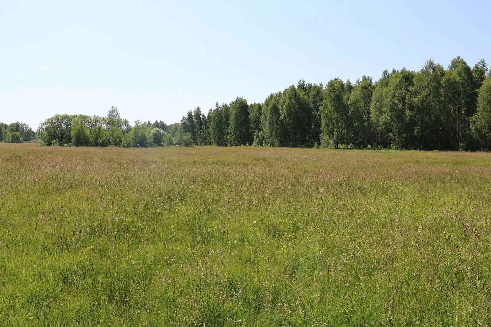 Kampinoski Park Narodowy