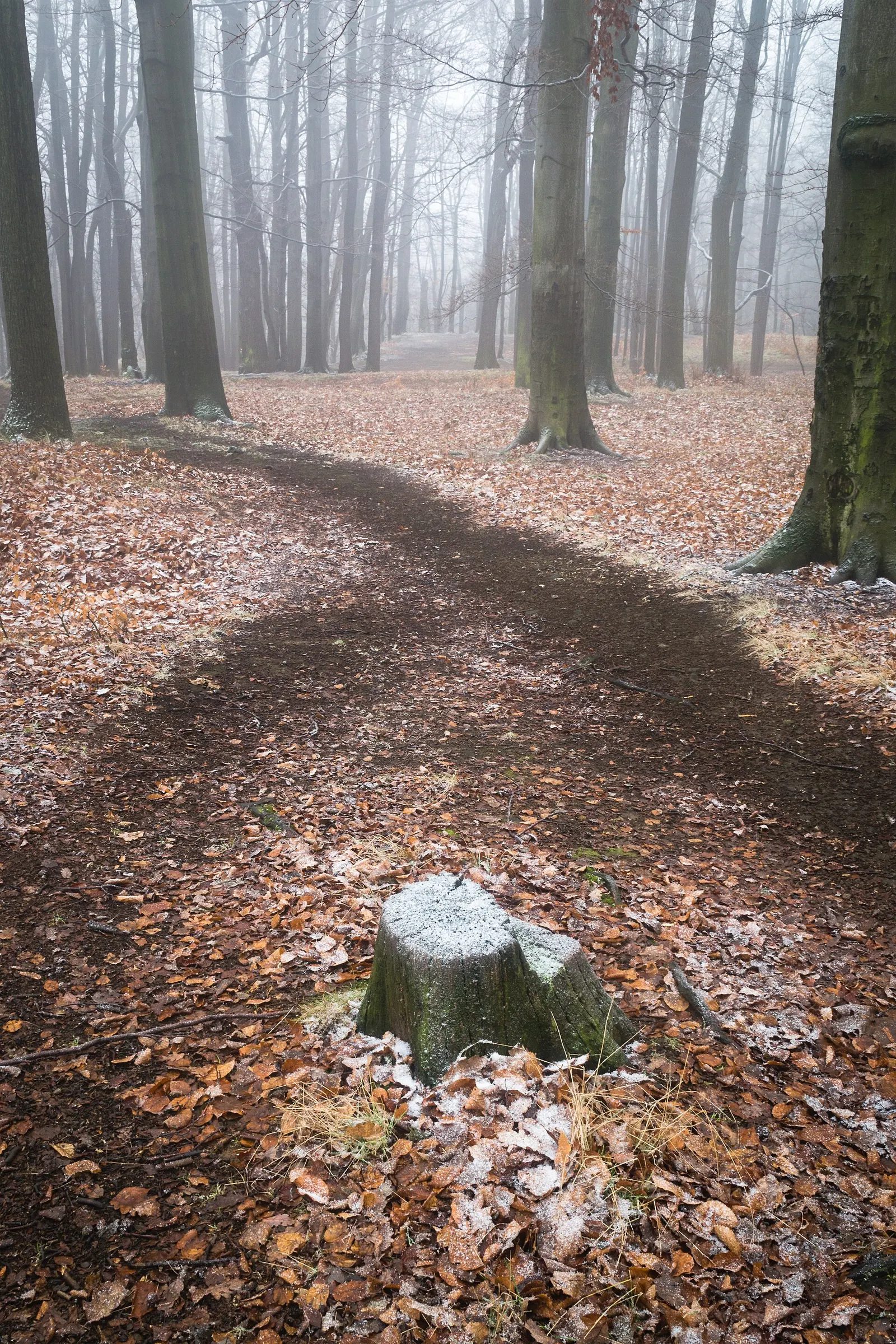 Książański Park Krajobrazowy