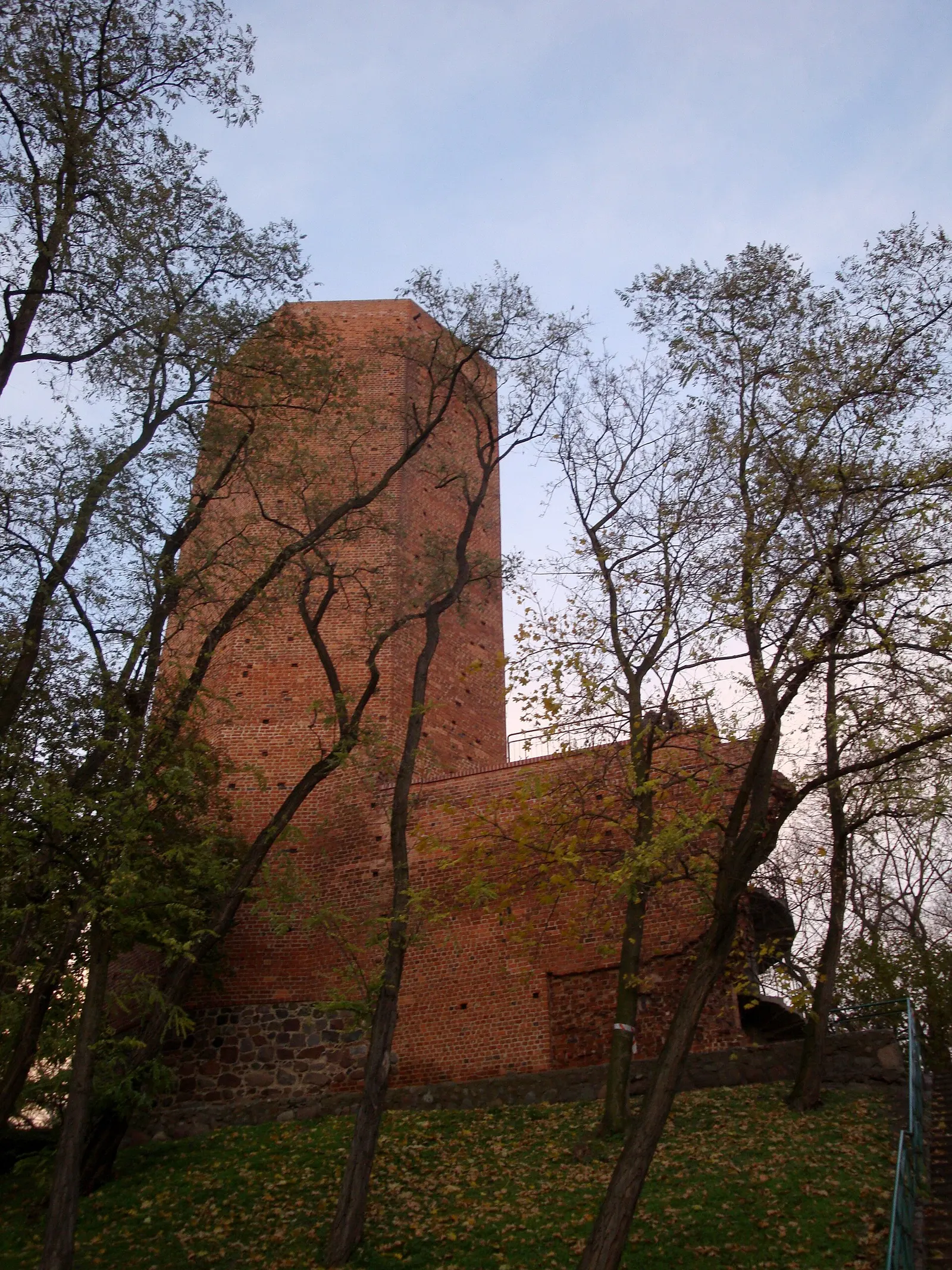 Mouse Tower (Poland)