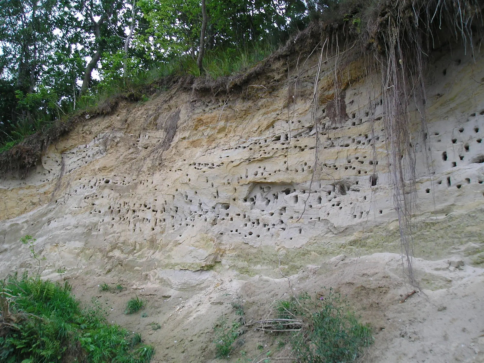 Coastal Landscape Park