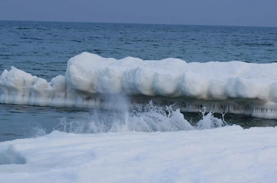 Coastal Landscape Park