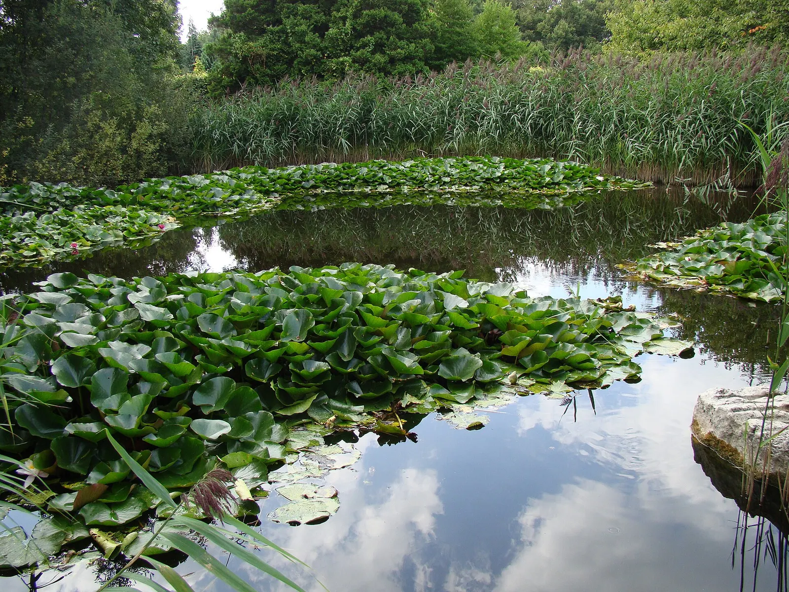 Ogród Botaniczny w Łodzi