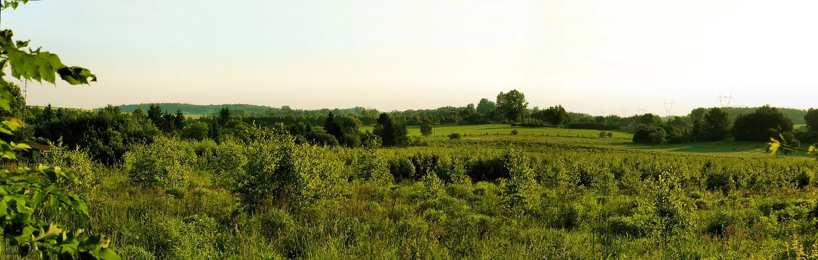 Łódź Hills Landscape Park