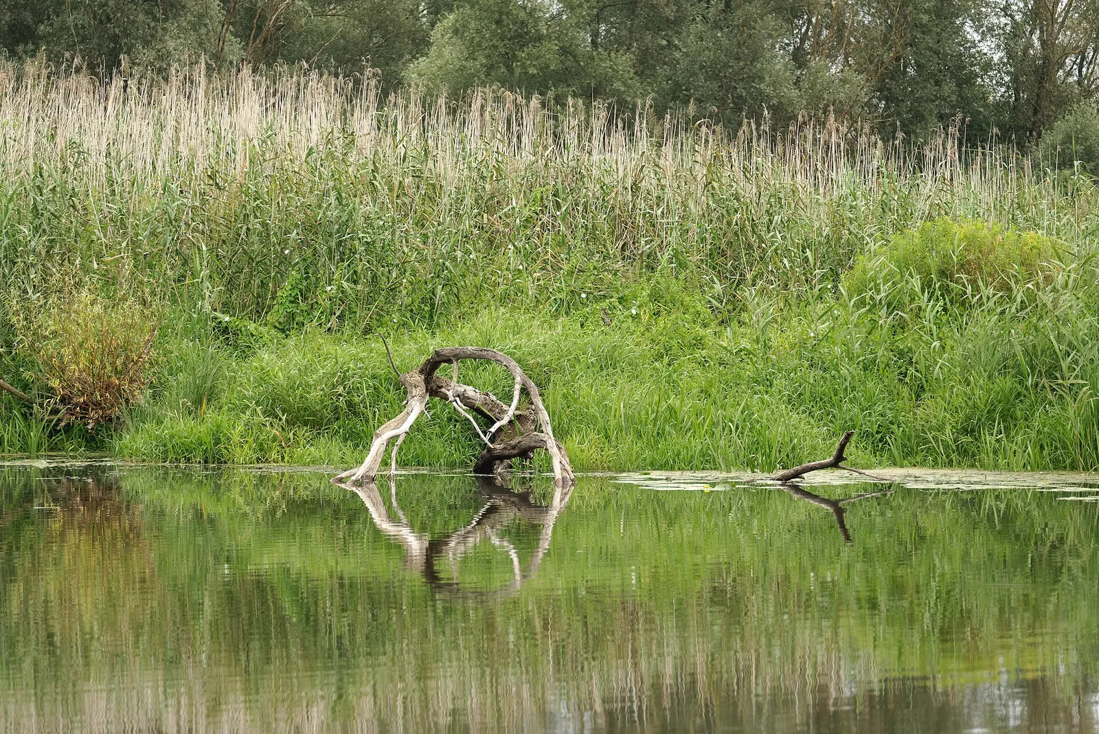 Park Narodowy Ujście Warty