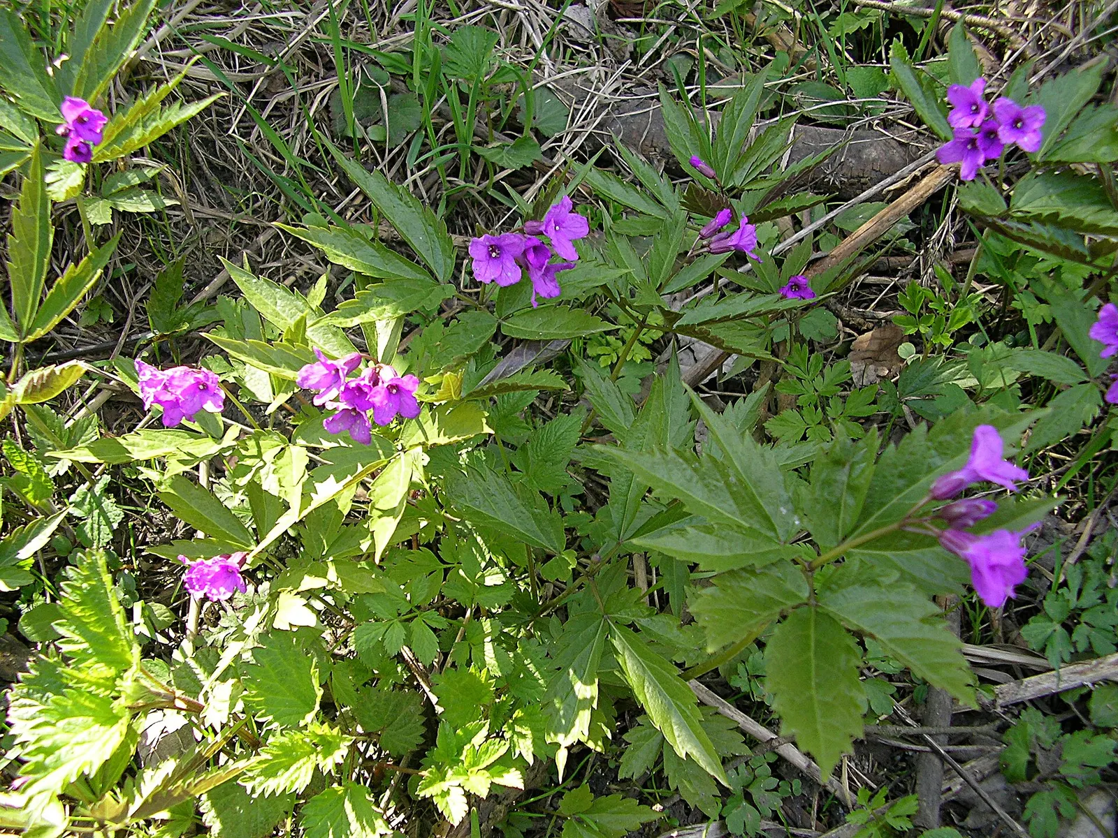 Poprad Landscape Park