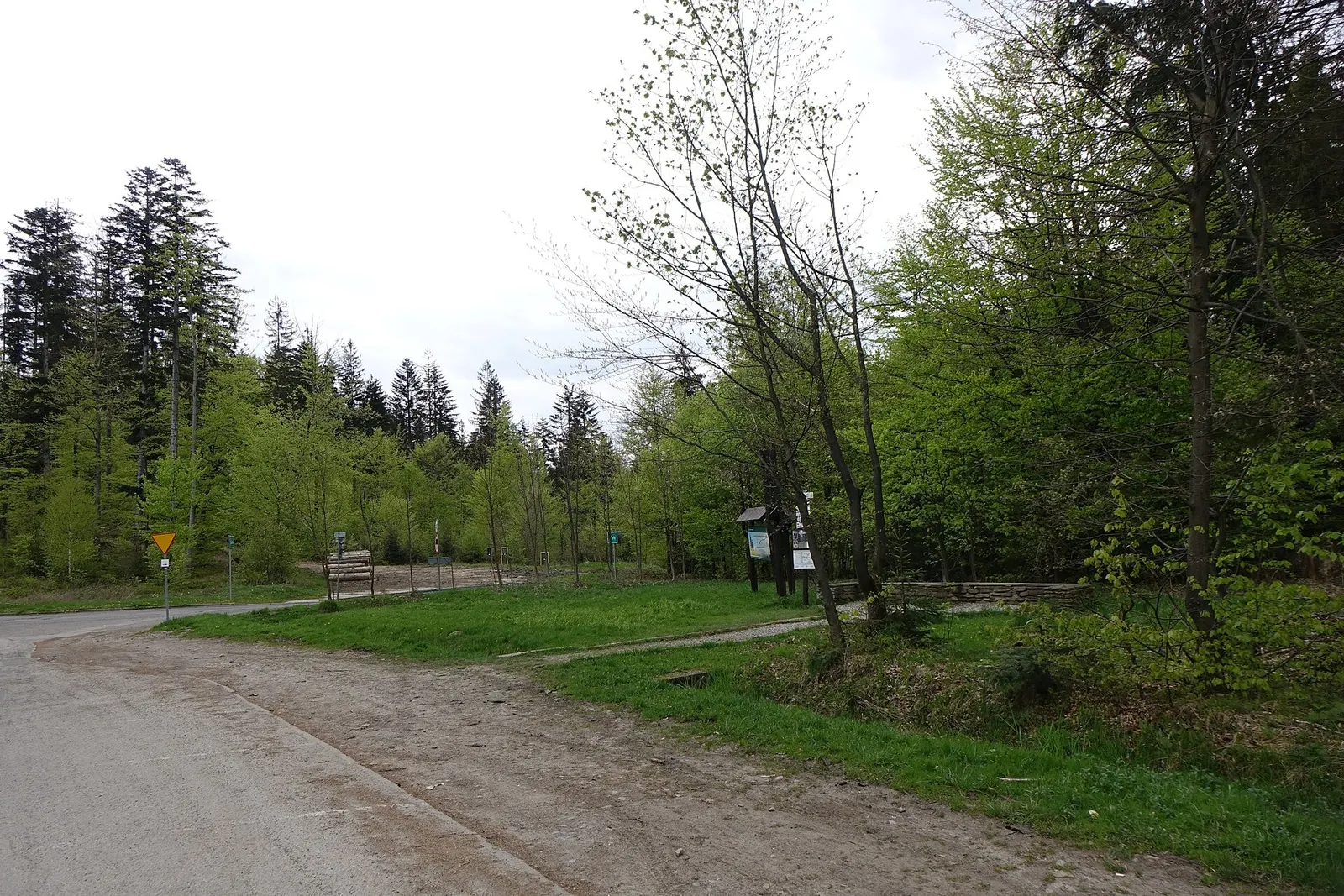 Przełęcz Szarcula w Beskidzie Śląskim