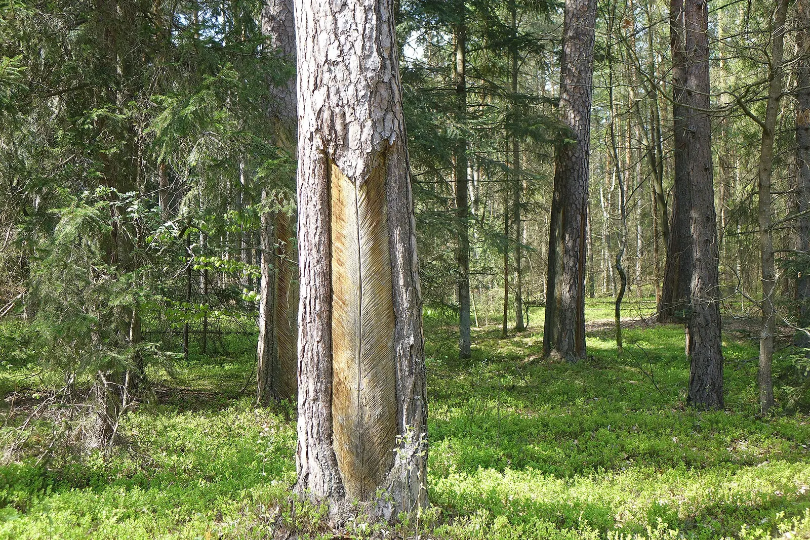 Roztocze National Park