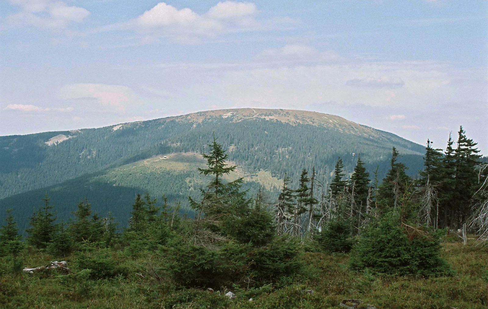 Śnieżnik