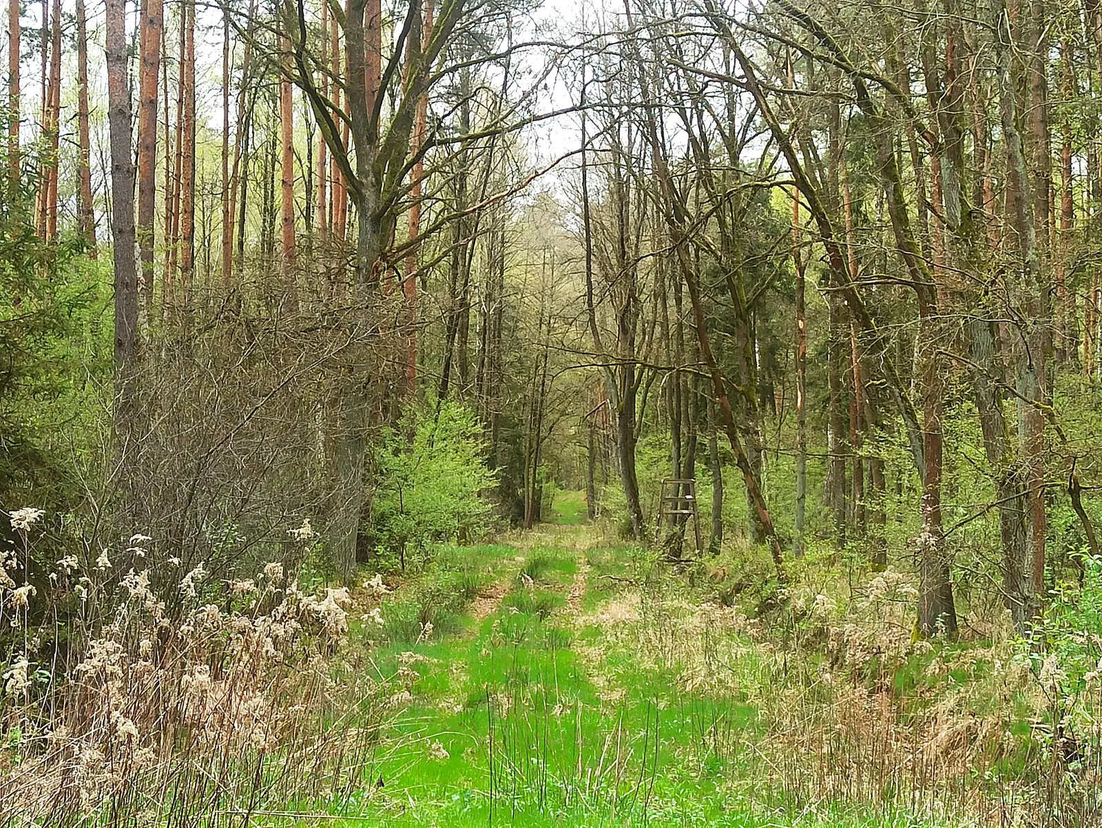 Stobrawski Park Krajobrazowy