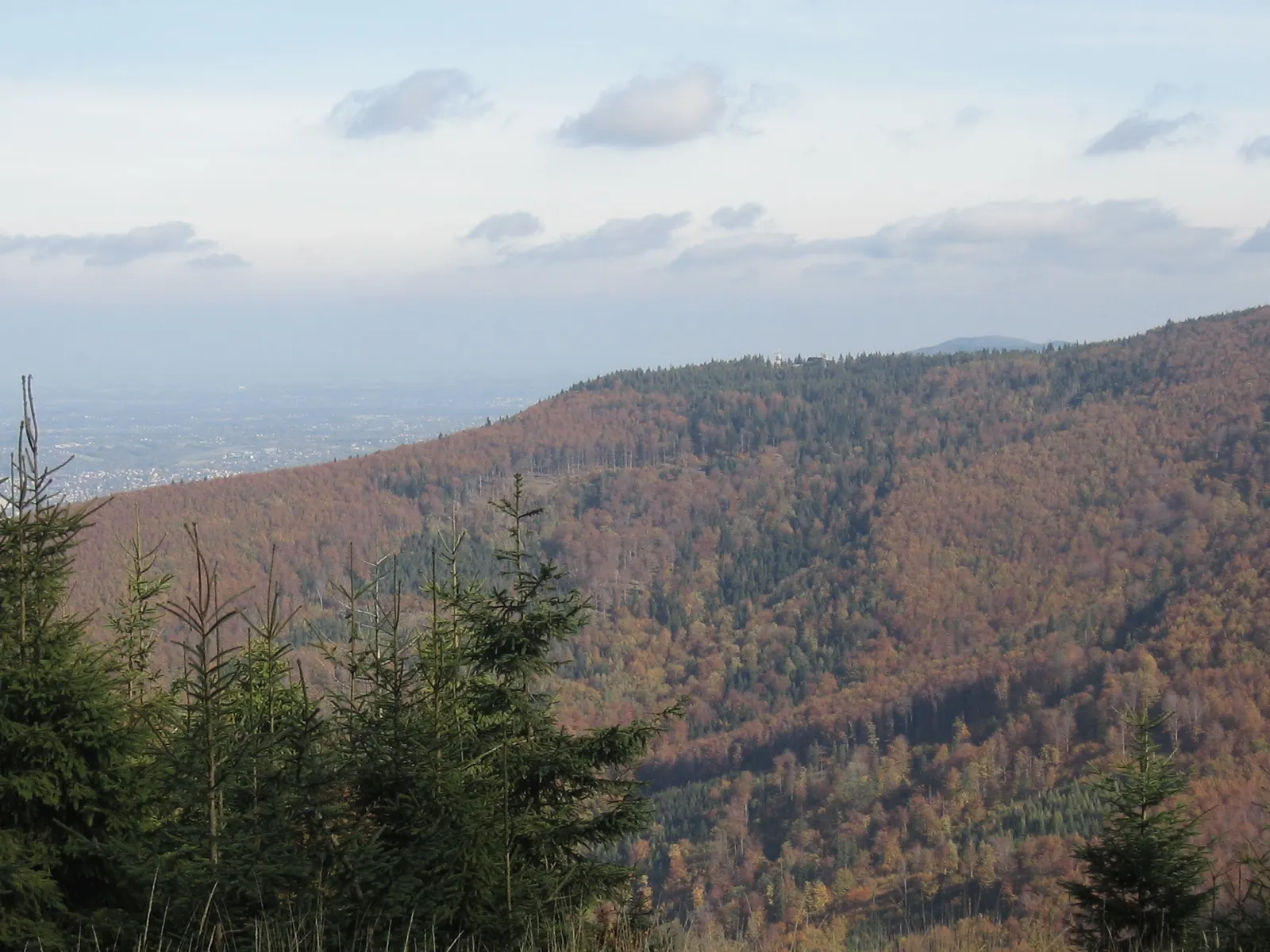 Szyndzielnia