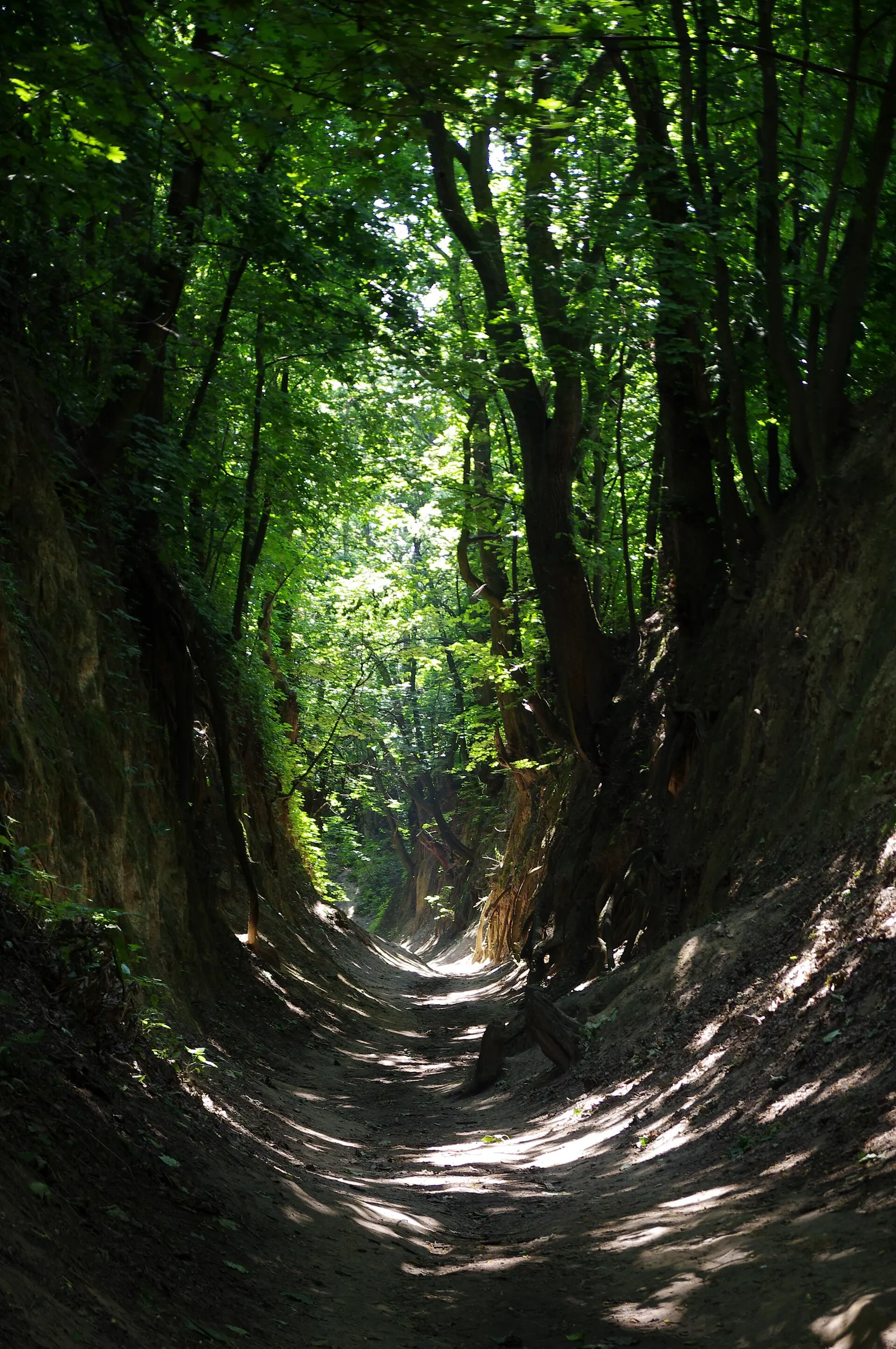 St. Jadwiga Way