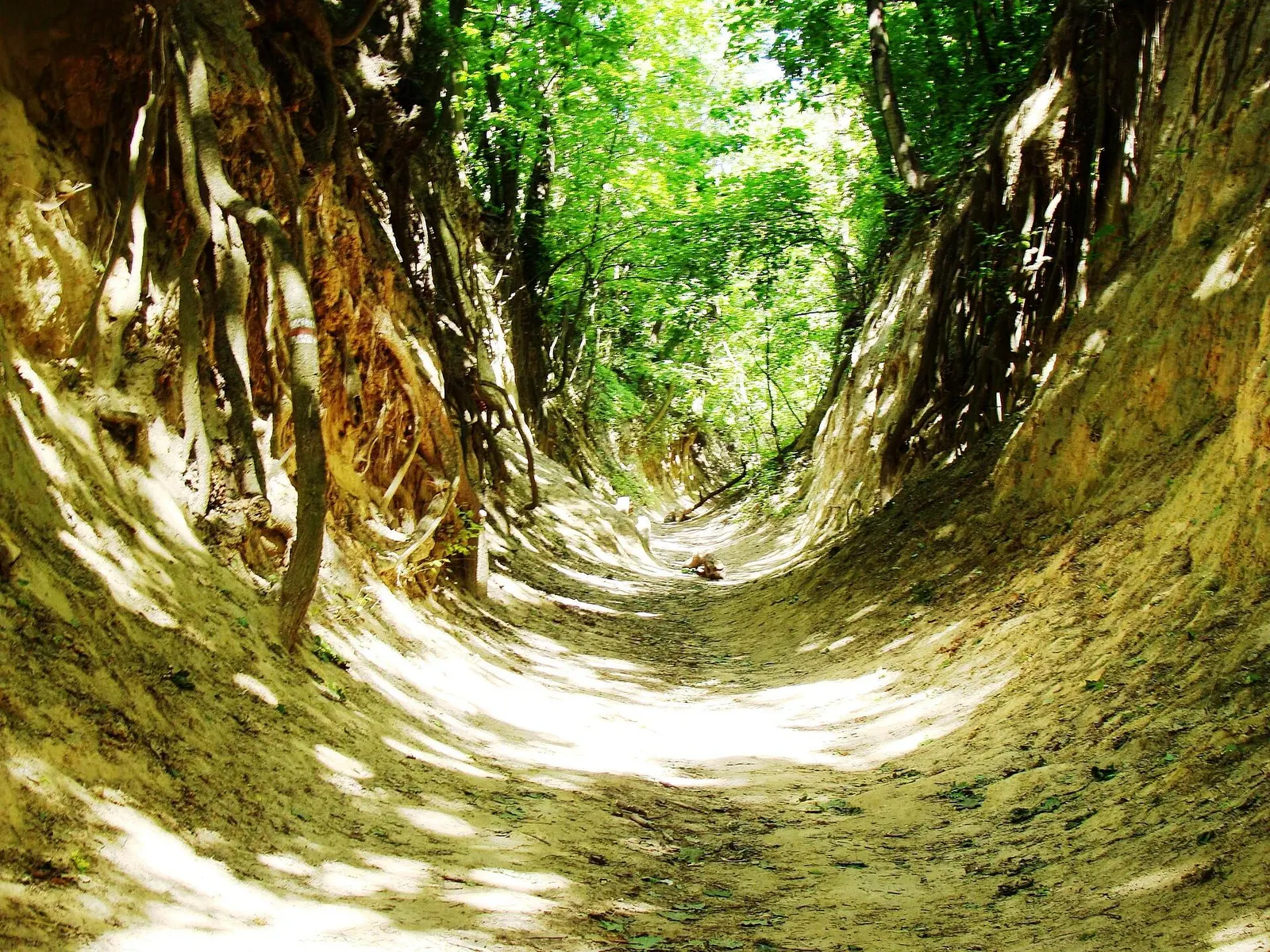 St. Jadwiga Way