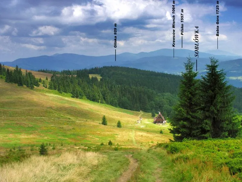 Wielka Rycerzowa