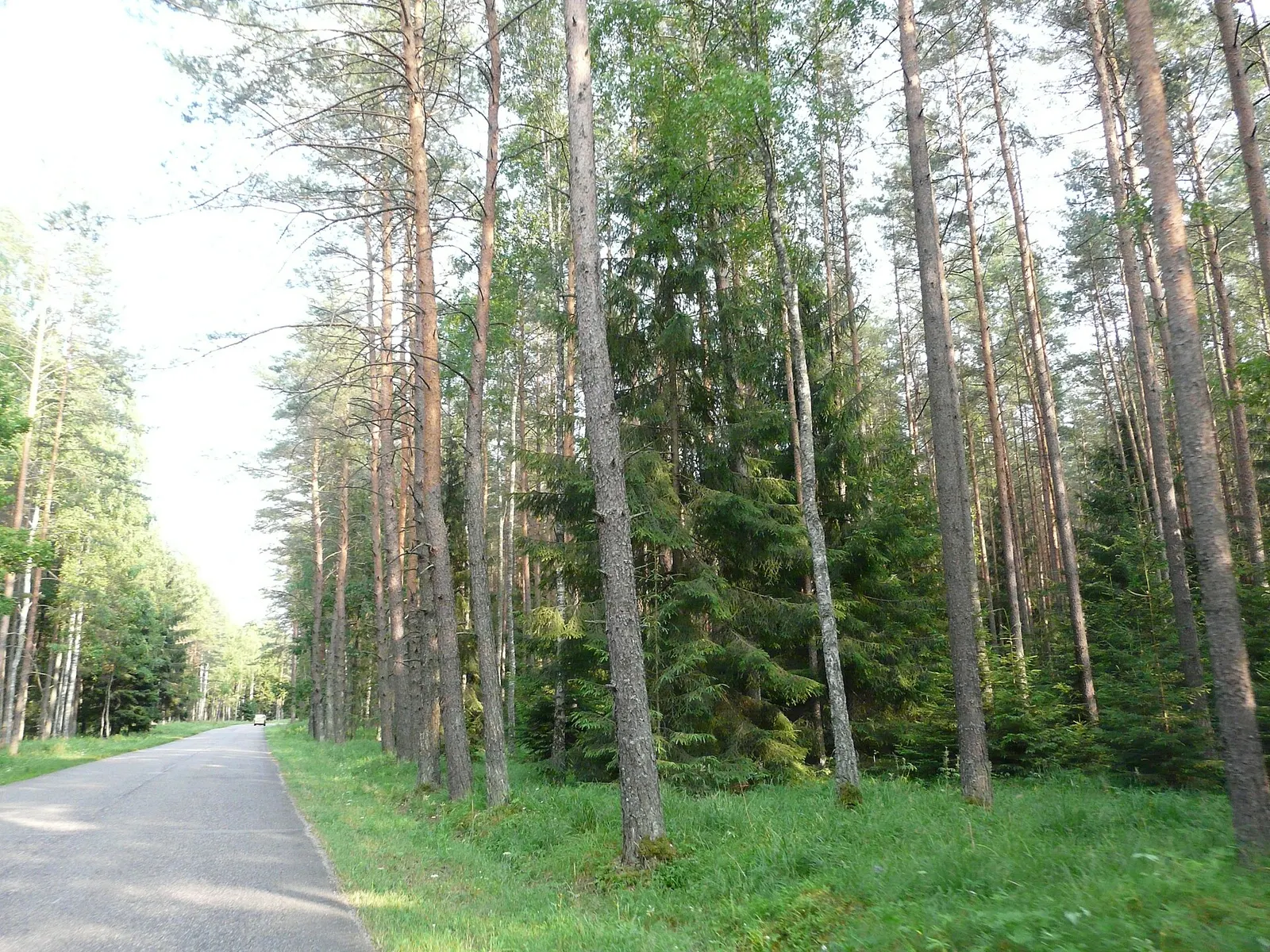 Wigierski Park Narodowy