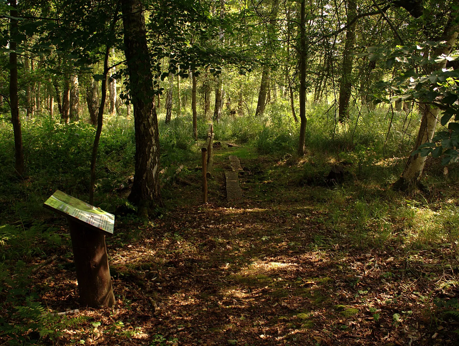 Woliński Park Narodowy