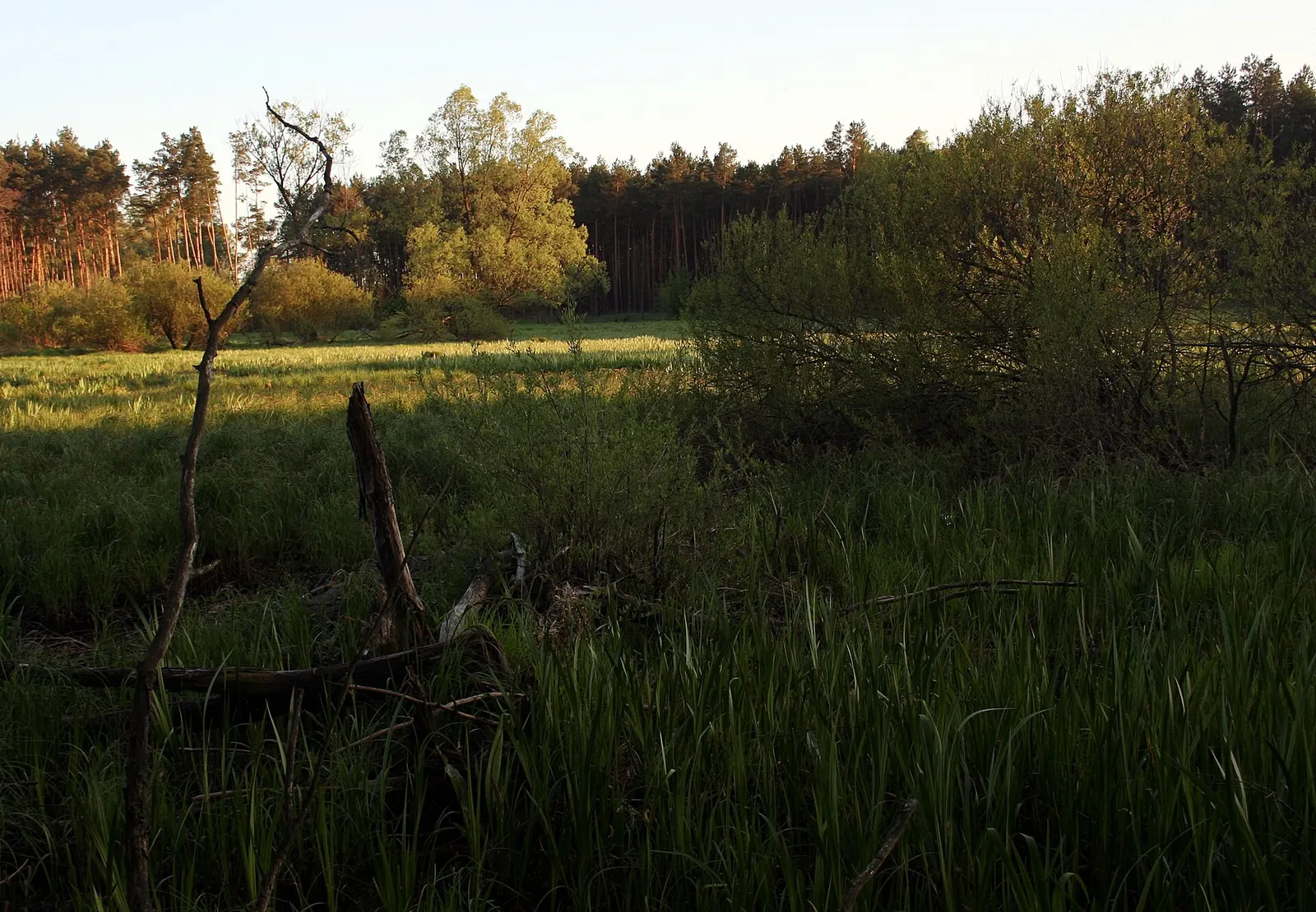 Załęczański Park Krajobrazowy