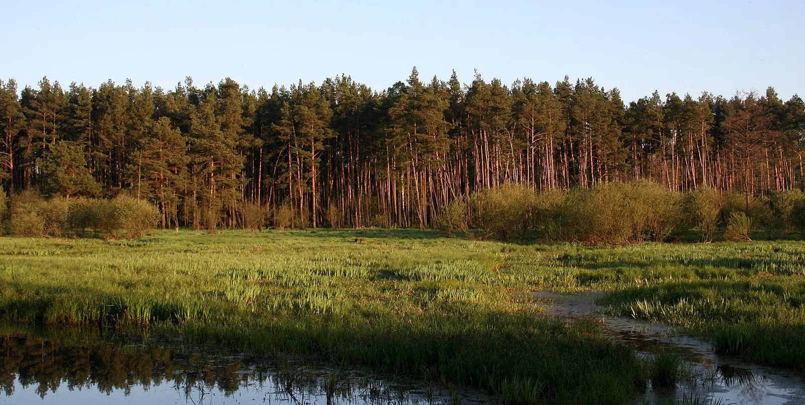Załęczański Park Krajobrazowy