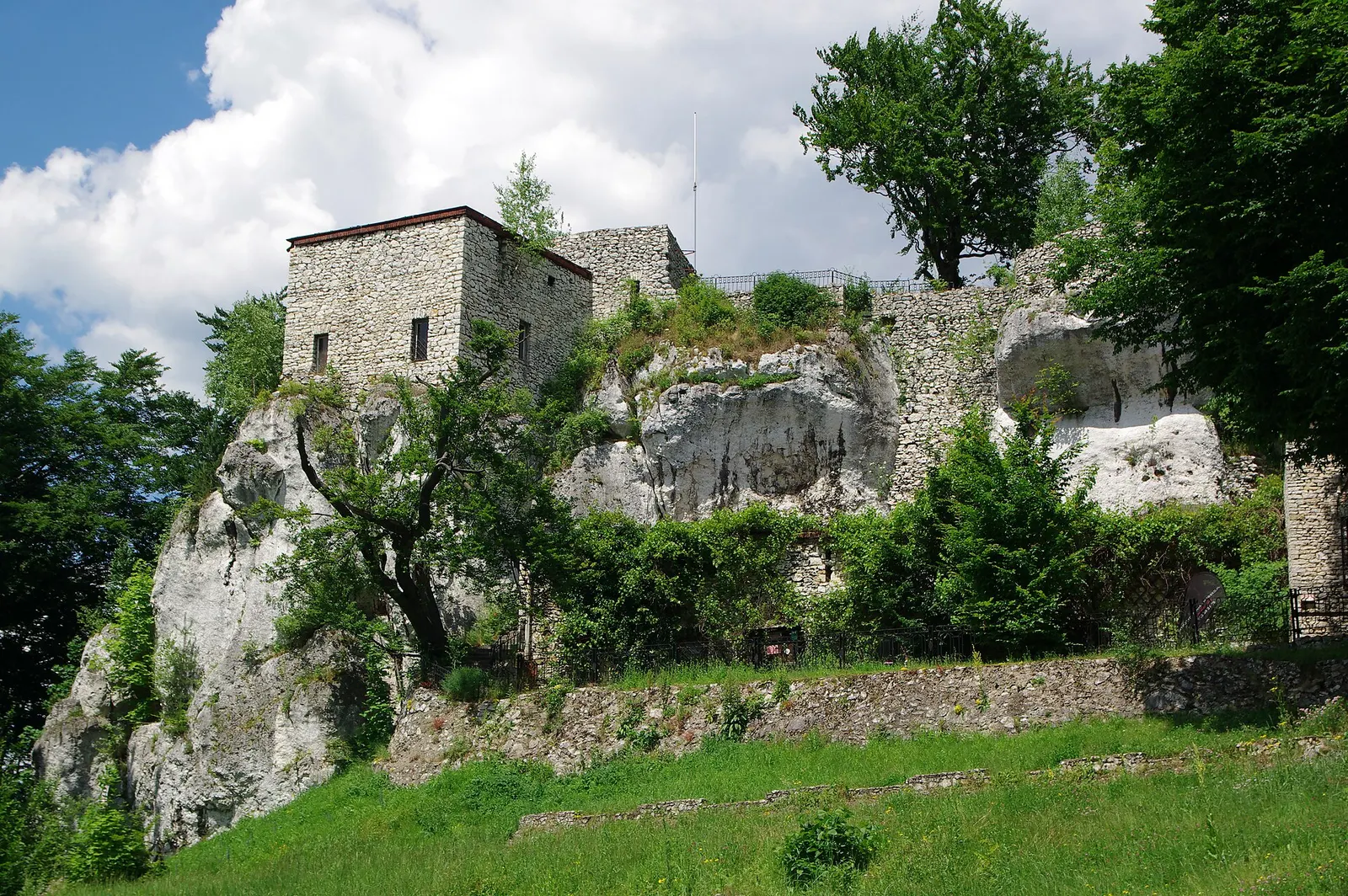 Bąkowiec Castle