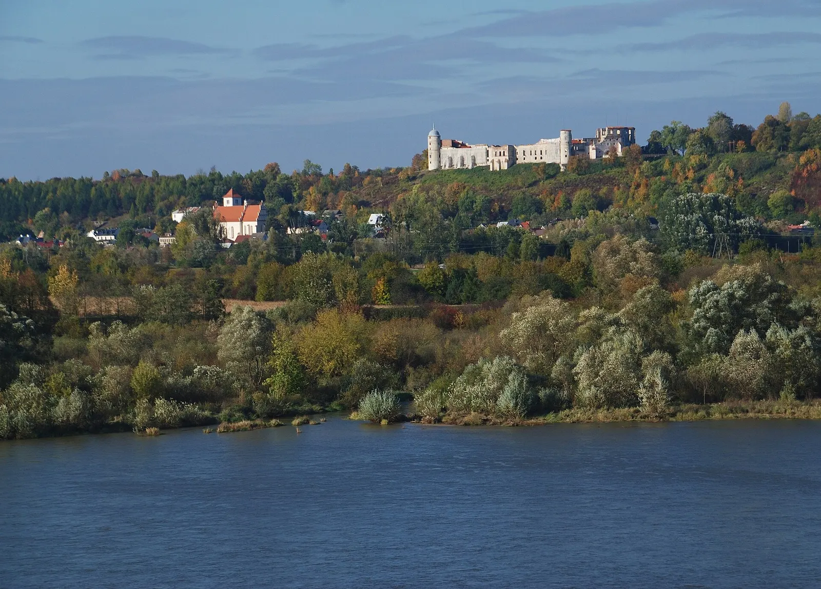 Zamek w Janowcu