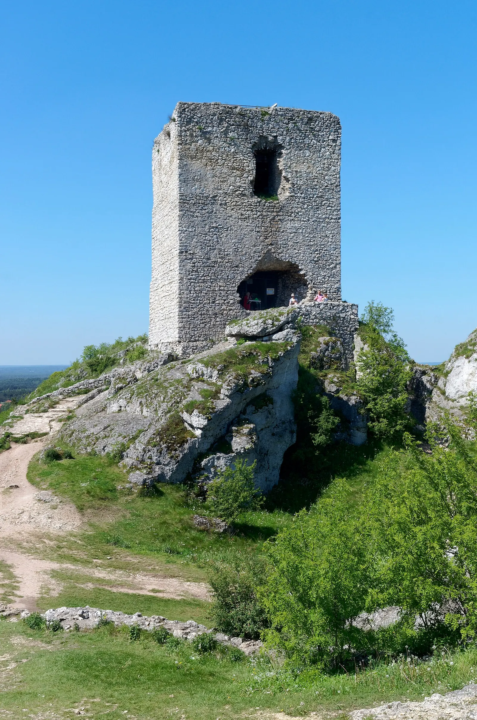 Zamek w Olsztynie