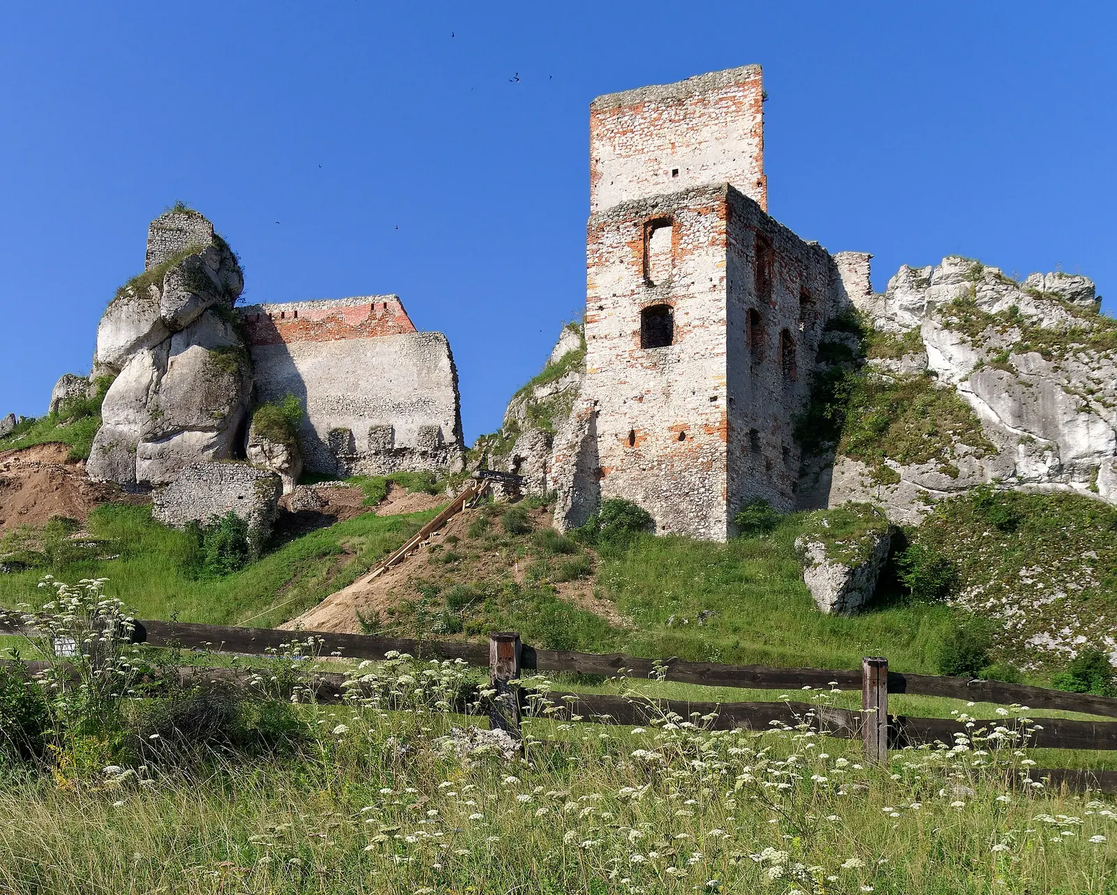 Zamek w Olsztynie