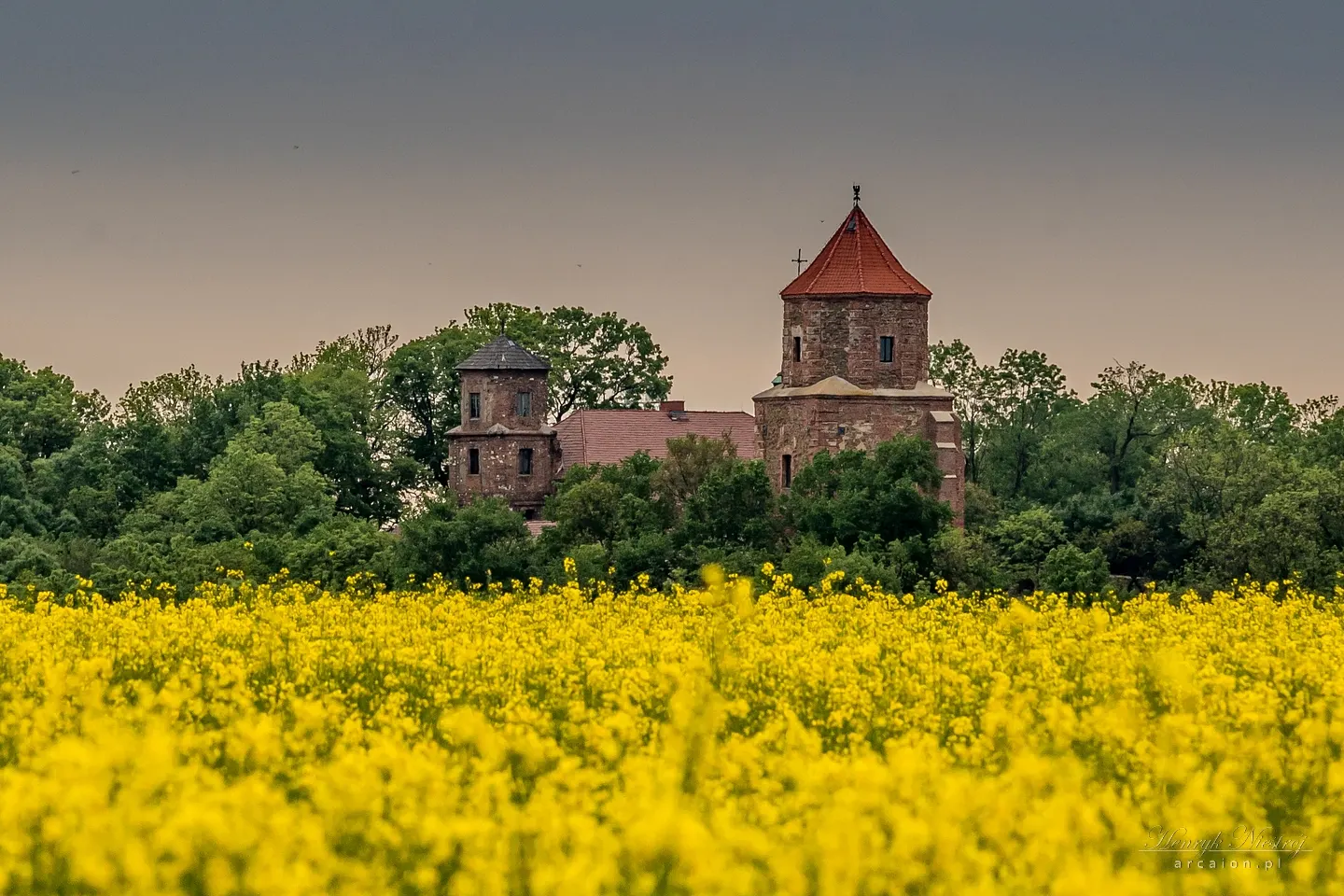 Zamek w Toszku
