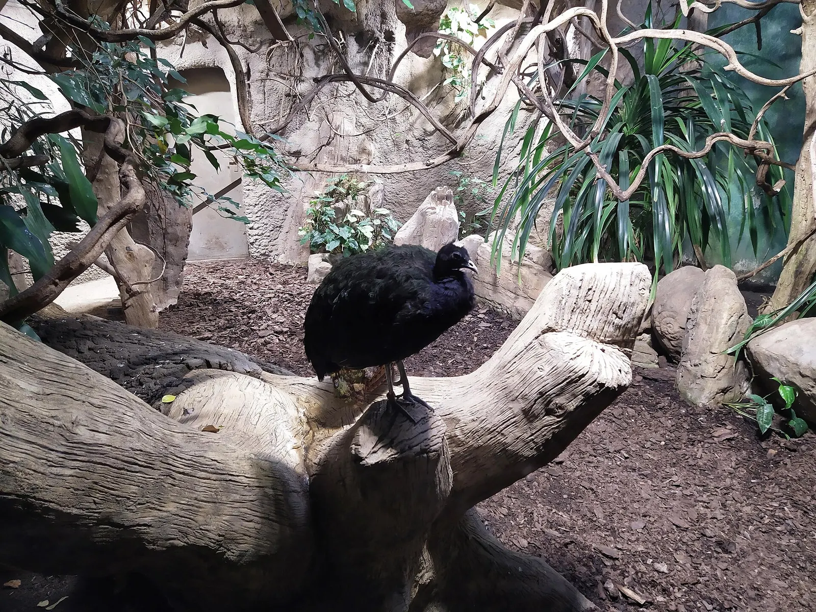Zoo w Warszawie